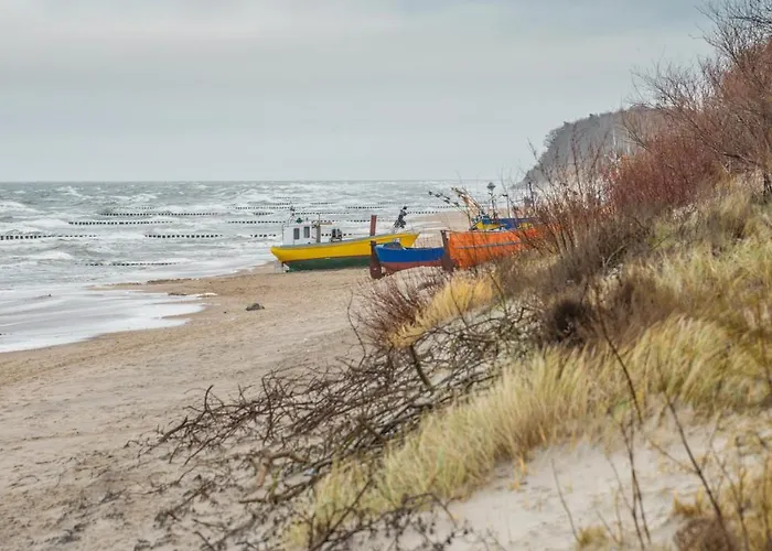 Platinium, Sun & Snow Rewal